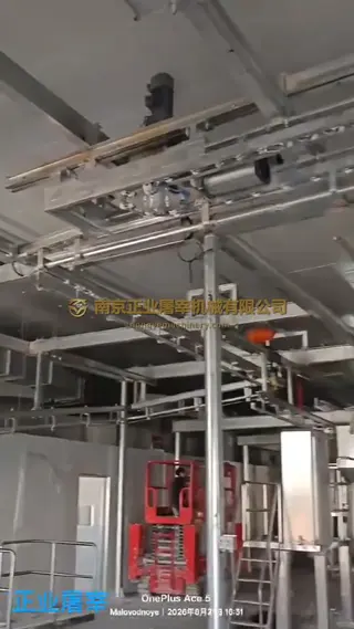 Kyrgyzstan cattle line installation footage
